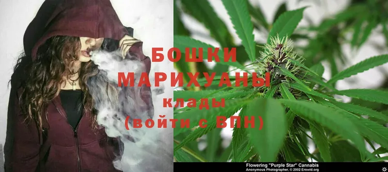 Бошки марихуана Ganja  даркнет сайт  blacksprut ссылки  Болохово 